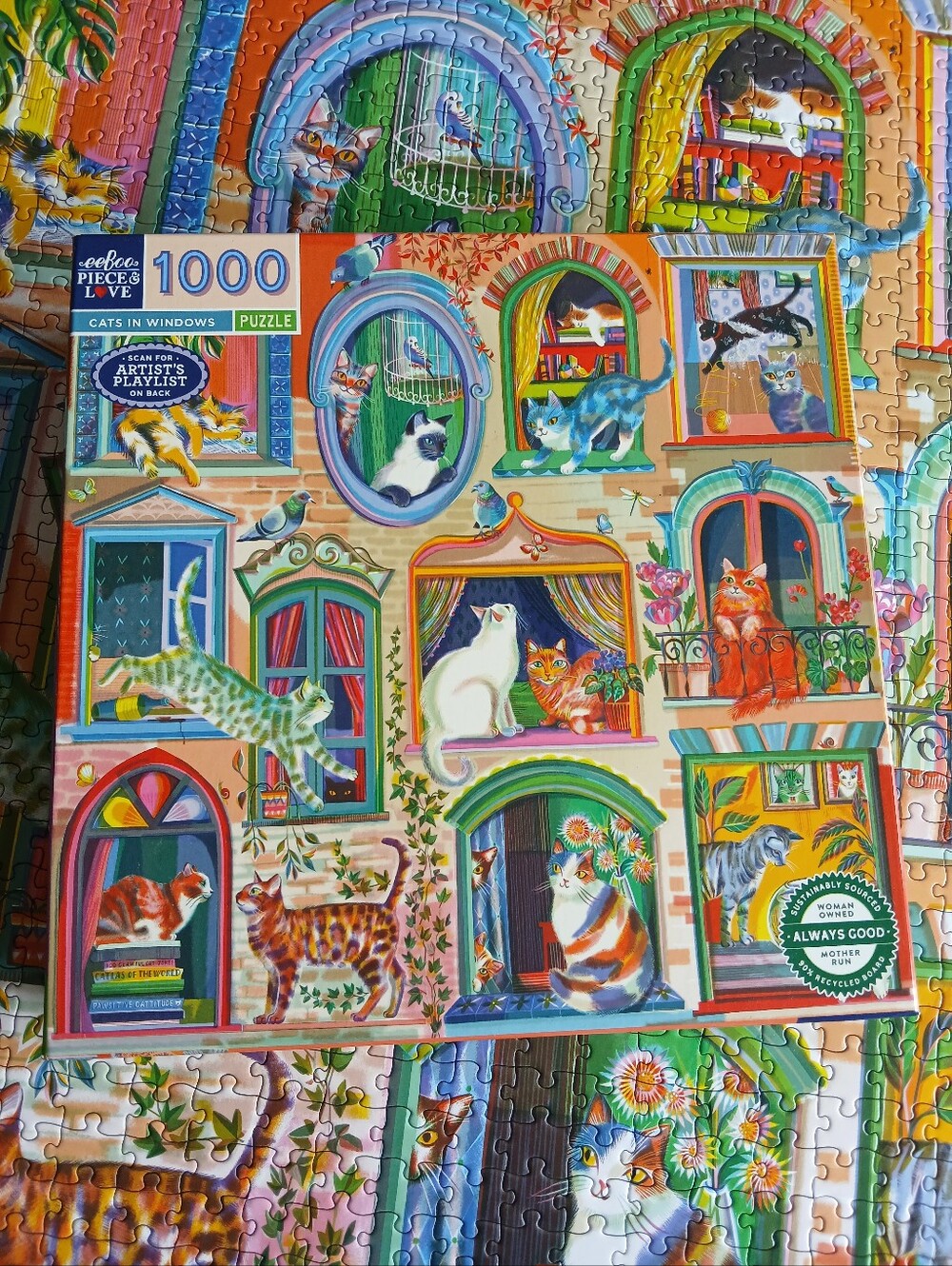 Cats in Windows Puzzle